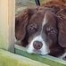 Tony Warford - Facebook