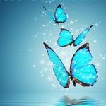 Anthony-Waring-Hypnotherapy - @anthonywaringhypnotherapy - Instagram