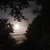 anthony warzecha - @anthonywarzecha - TikTok