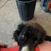 Tony Wass - Facebook