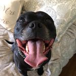Anthony Watters - @anthonyjwatters - Instagram