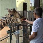 Anthony Watterson - @wattoaway - Instagram