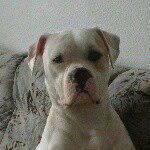 anthony - @anthony.weigel28 - Instagram
