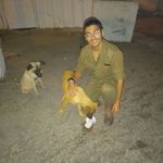 Anthony Weil - @avrahamweil - Instagram