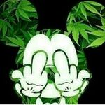 anthony_weiland - @anthony_weiland7380 - Instagram