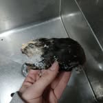 Anthony Weiler - @crackhead_anthony62 - Instagram