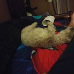 Mark Anthony Weiler - @mark.weiler.68 - Instagram