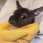 Anthony Weiner - @anthony.weiner - Instagram