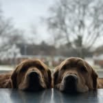 Anthony Weitzel - @anthonyweitzels - Instagram
