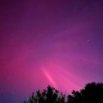 Anthony Welden - @welden.anthony - Instagram