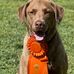 Anthony Abernathy at Weller Kennels - Facebook