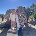 Anthony Wentzel - Facebook