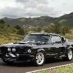 anthony wentzel - @wen533510 - Instagram