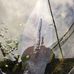 Tony Wescott - Facebook
