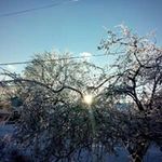 Anthony Wharton - @a_c_wharton - Instagram