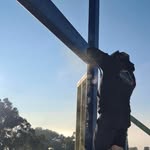 Anthony Whitney - @whitneynumber1 - Instagram