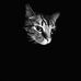 Anthony Whitney - Facebook