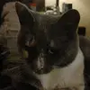 anthonywinegar - @anthonywinegar - TikTok