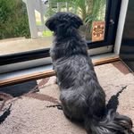 John Anthony Wingard - @depoter5 - Instagram