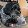 anthonywetherell - @anthonywetherell - TikTok