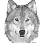 @anthonywoolfart - Instagram