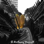 Anthony Worrall - @1o81o - Instagram