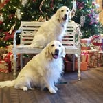 Anthony Yancey - @dougsburban1 - Instagram