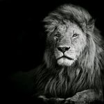 Anthony Yanes - @anthony.yanes.100 - Instagram