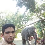 Anthony Yang - Facebook