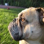 Anthony Yates - @anthony.yates40 - Instagram
