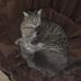 Anthony Emmons - Facebook