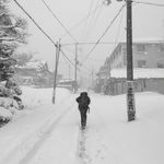 Anthony Yim - @anvinci - Instagram