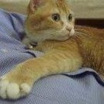 Anthony Yip - @anthonyywh - Instagram