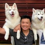 Anthony Yip - @antyippy - Instagram