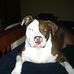 Anthony Zambito - Facebook