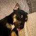 Anthony Zambito - Facebook