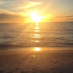 Anthony Ziegler - @ziegler3461 - Instagram