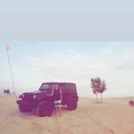 Anthony Ziegler - @midwest_ziggy - Instagram