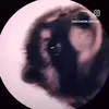 antoinebeasley3 - @archivefashionmf - TikTok