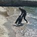 Antoine Bitar - Facebook