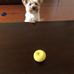Antoine Hall - Facebook