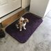 Antoine Hall - Facebook