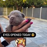 Antoinette Harding - @antoinetteharding78 - Instagram