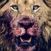 Antoine Lyons - Facebook