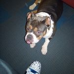 antoine moore - @antoinemoore5 - Instagram