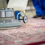 Antoine Roach - @clear_vision_carpet_care - Instagram