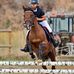 Antoine Rousseau - Facebook