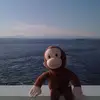 Antoine Silva - @antoine.silva5 - TikTok