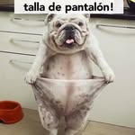 Riki tomy - @antolin_lopez - Instagram