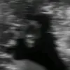 Anton Ali - @anton.ali2 - TikTok